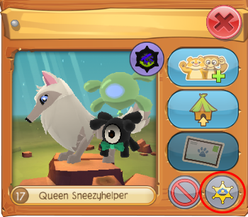 report1.png